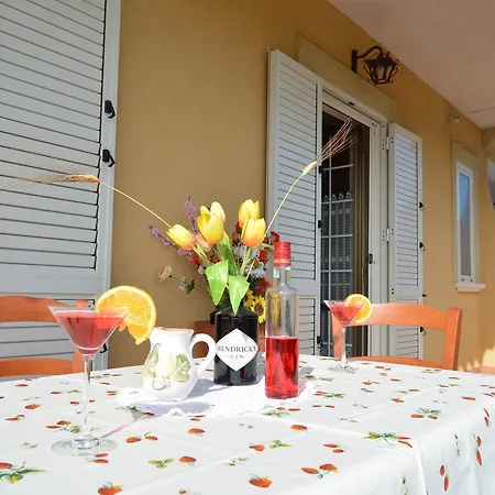 Blue Marlin Hotel apartamentowy